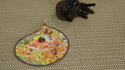 猫壱 キャッチ・ミー・イフ・ユー・キャン 2 【初回送料無料